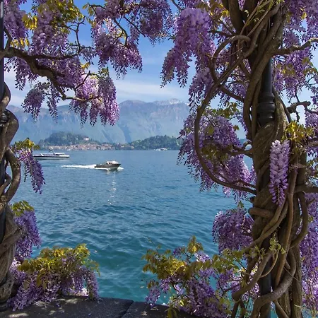 Il Tentione